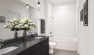 Gravity ATX Austin, texas edgemds.com