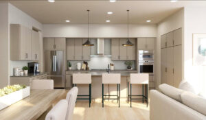 Vue 2222 Austin texas edgemds.com