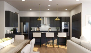 Vue 2222 Austin texas edgemds.com